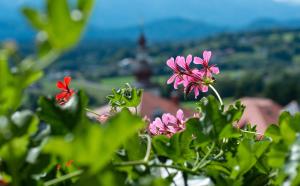 Hotel Garni Frühstückspension Neff