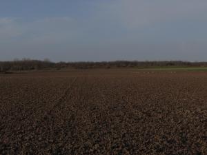 strandhuis De Bakkeete A