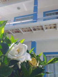 Estrela Azul Guest House Búzios