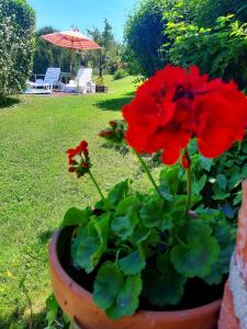 Boglárka Vendégház