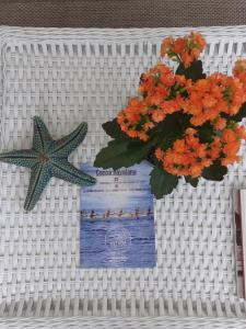 Estrela Azul Guest House Búzios