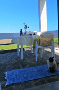 Surf & Guest Lorena´s House
