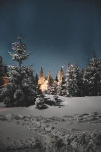 Vikendica Eden - 弗拉西克