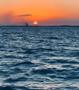 Chupaflor - Alexander Luxury & Executive Suites - Belize City