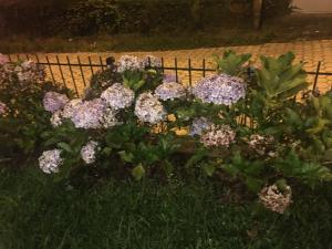 Casa em Campos do Jordão