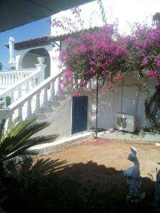 the house on the hill Argolida Greece