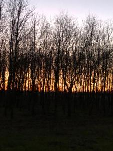 Cascina La Maddalena Bed & Wine