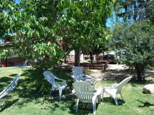 Complejo Viejo Sulky