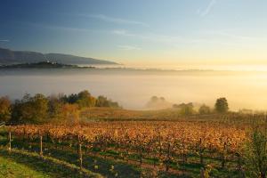 Villa del Poggio Prosecco Bike Hotel