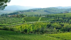 Via di Gabbiano, 22, 50024 Mercatale Val di Pesa (Firenze), Italy.