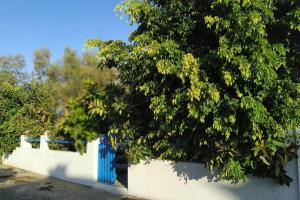 Beach cottage Flisvos ,St.George Naxos Greece