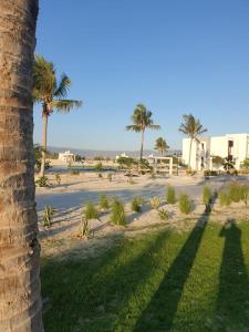 Purple Lily Studio Hawana Lagoons Salalah
