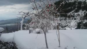 Estian Makrinitsas Pelion Greece