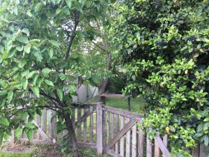Chalets LA CACHETTE ROMANTIQUE DU Jardin : photos des chambres