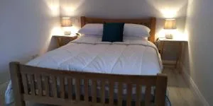 The Roost - 托特尼斯