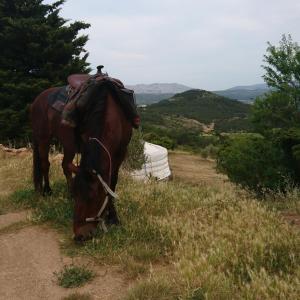 Chalets Yourte Nature / Gite Saint Roch : photos des chambres