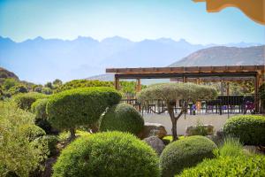 Hotels La Villa Calvi : photos des chambres