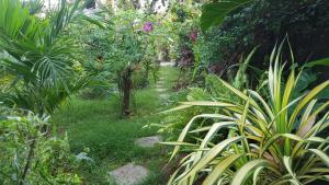 Villa Prias by Amrea