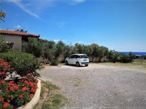 A Cretan house in the garden. Lasithi Greece