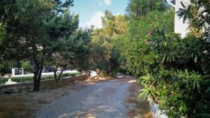 A Cretan house in the garden. Lasithi Greece