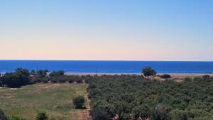 A Cretan house in the garden. Lasithi Greece