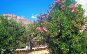 A Cretan house in the garden. Lasithi Greece