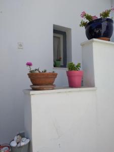 Kikis apartments are private apartments in a cosmopolitan island in the aegean Paros Greece