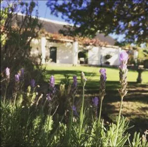 Heiveld Farm Cottages - Lochlynne