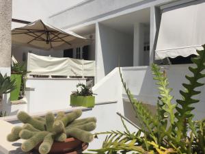 Casa sul Mare - WIFI free - parcheggio privato