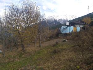Mountain Village Stay - Dharali Heights Harsil