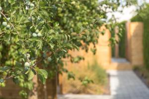 Maisons de vacances Gites de La Vesee : photos des chambres