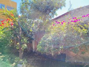 Suite Única Renovada Céntrica Av Zaragoza C14