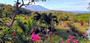 Ananda Guesthouse