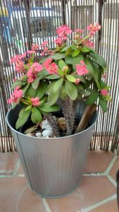 Apartamento Turístico FlorHouse