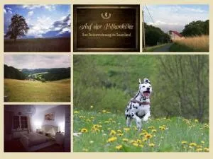 Ferienwohnung auf der Hilkenhöhe - 纳赫罗特-维布灵韦德