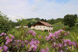 Maisons d'hotes Les Chantenees : photos des chambres