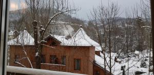 VITA MINERALIS Szczawnica