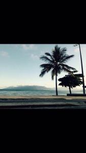 Coqueiros Praia Martin de Sá