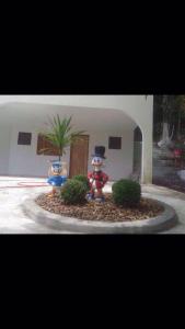 Coqueiros Praia Martin de Sá