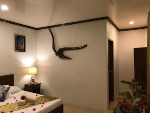 Chekesh Casa