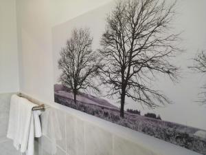 Amzee Bokmakierie Guest House