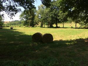 Maisons de vacances La Roussille - Oak Barn : photos des chambres