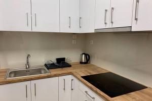 Kallimarmaro 2-Bedroom Apartment