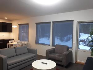 Modern Slope Apartment