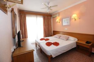 Double Room with Forest View (2 Adults + 1 Child) room in Hotel Manaus