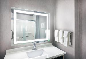 Standard King Room - Non-Smoking  room in Holiday Inn Lubbock South an IHG Hotel