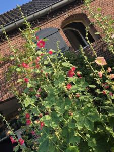Bed & Breakfast Appeltern