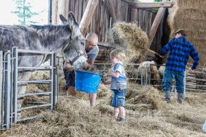 B&B / Chambres d'hotes Domaine Les Bachats : photos des chambres