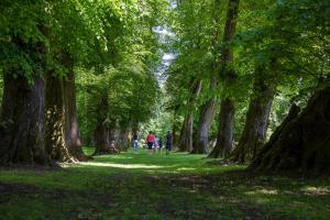 B&B / Chambres d'hotes Domaine Les Bachats : photos des chambres