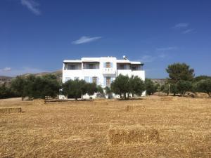 Bluefox Apartments Naxos Greece